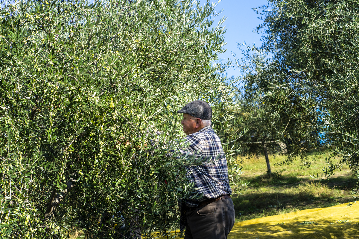Agriturismo San Rocco in famiglia