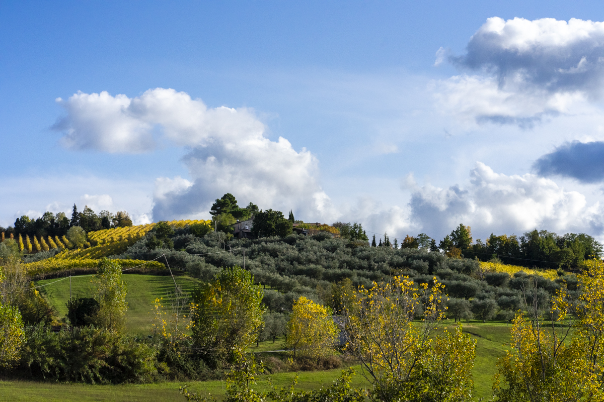 Agriturismo San Rocco