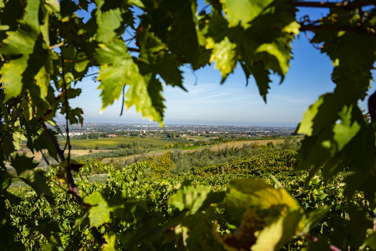 Agriturismo San Rocco Rimini