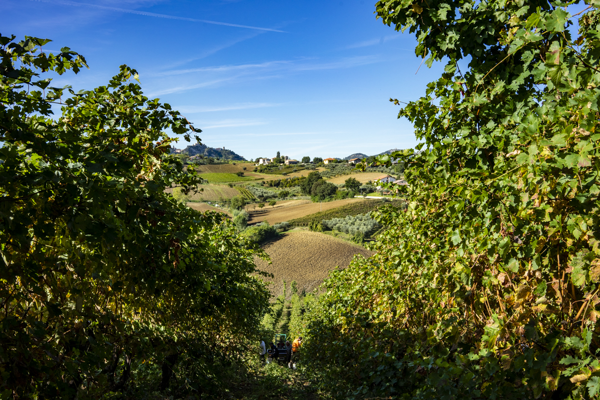Agriturismo San Rocco Verucchio